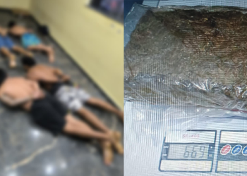 No interior do Amazonas, 11 pessoas são pr3sas com dr0gas, arm@s e veículos roubad0s