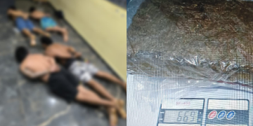 No interior do Amazonas, 11 pessoas são pr3sas com dr0gas, arm@s e veículos roubad0s