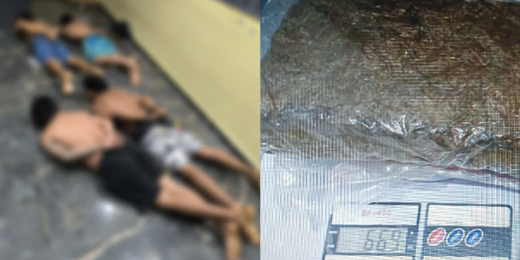 No interior do Amazonas, 11 pessoas são pr3sas com dr0gas, arm@s e veículos roubad0s