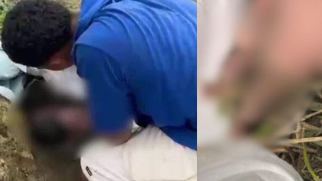 recém-nascida aband0nada é encontrada ainda com cordão umbilical perto de formigueiro