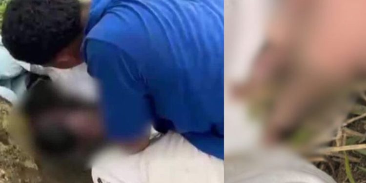 recém-nascida aband0nada é encontrada ainda com cordão umbilical perto de formigueiro