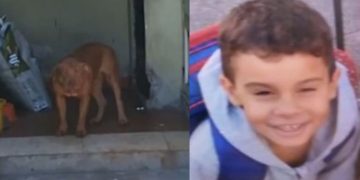 Pitbull avança sobre garoto de 5 anos e o mat4 dentro de casa