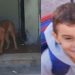 Pitbull avança sobre garoto de 5 anos e o mat4 dentro de casa