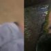 Crimin0sos entram em c0nfr0nt0 e homem acaba m0rt0 no Parque 10