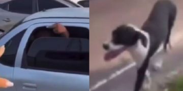 Veja: Em Manaus, motociclista grava discussão após perceber cachorro supostamente sendo deixado para trás