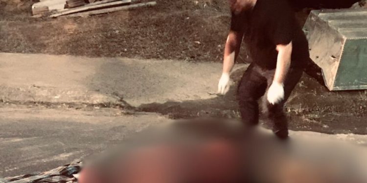 Irmão m4t4 o outro com f4cada nas costas durante discussão em Itacoatiara