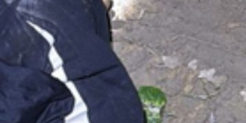 Veja: Moradores escutam disp4r0s e encontram homem m0rt0 às margens de ramal em Manaus