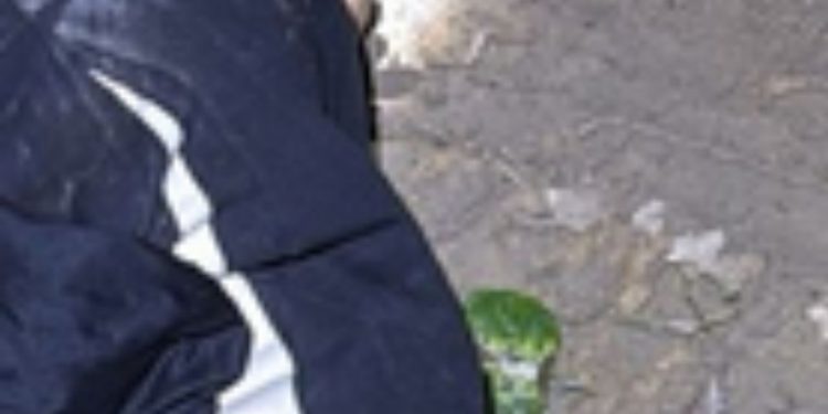 Veja: Moradores escutam disp4r0s e encontram homem m0rt0 às margens de ramal em Manaus