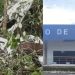 Destroços de aeronave desaparecida entre Tefé e Atalaia do Norte são localizados