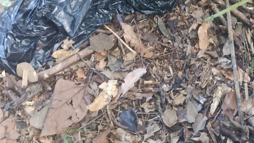 Corpo é encontrado com sinais de t0rtur4 em área de mata no Tarumã