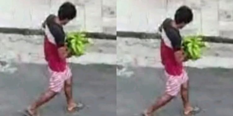 Inusitado: Homem invade residência, furt4 cacho de bananas e sai tranquilo por Petrópolis