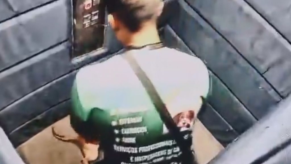 Vídeo revoltante: Cadela idosa é puxada e sacudida por passeador em elevador