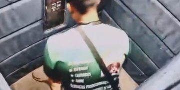 Vídeo revoltante: Cadela idosa é puxada e sacudida por passeador em elevador