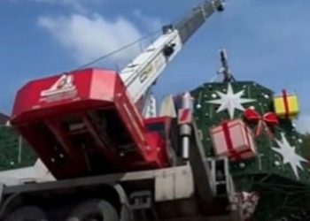 Guindaste no Largo pode ter tombado por falhas de cálculo e estabilidade, diz engenheira