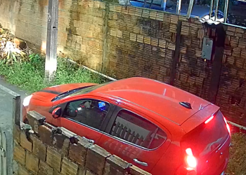 Abandon0 de cachorros é registrado por câmera no Puraquequara; veja o vídeo