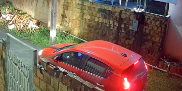 Abandon0 de cachorros é registrado por câmera no Puraquequara; veja o vídeo