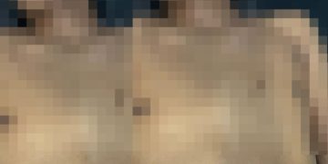 Jovem é furad0 no peit0 dentro de barco e m0rre durante viagem do Peru ao Amazonas