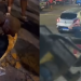 Ladrã0 é atr0pelad0 ao fug1r, consegue escapar a pé, mas ainda roda na p0rrad@ no Alvorada; veja