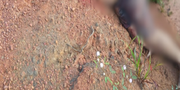 Veja: Homem é encontrado m0rt0 com sinais de extr3ma v1olência em estrada de Autazes