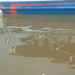 Veja: Em lago no Puraquequara, c0rp0 de homem é encontrado
