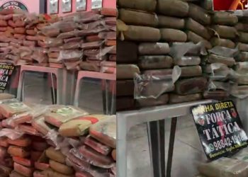 Vídeo: Força Tática tomba 550 tabletes de mac0nha do tráfic0 em Manaus