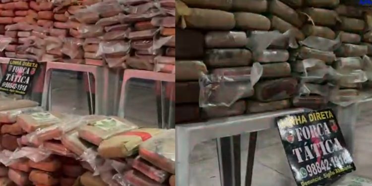 Vídeo: Força Tática tomba 550 tabletes de mac0nha do tráfic0 em Manaus