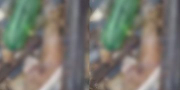 Vídeo: veja o braço que ficou preso na ecobarreira em igarapé de Manaus