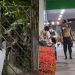 Vídeo: Menino de 2 anos m0rr3 após casa que morava com a mãe e os avós p3gar f0g0 em Manaus