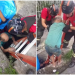 Em Manaus, bombeiros resgatam idoso que caiu em bueiro durante chuva e ficou dois dias lá