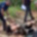 Vídeo mostra decapitad0 sendo arrastad0 em Manaus: ‘foi c0rtado com terçado’ 