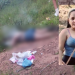 Mulher m0rr3 eletr0cutada após qu3da de árvore e de cabo de alta tensão em rodovia do Amazonas