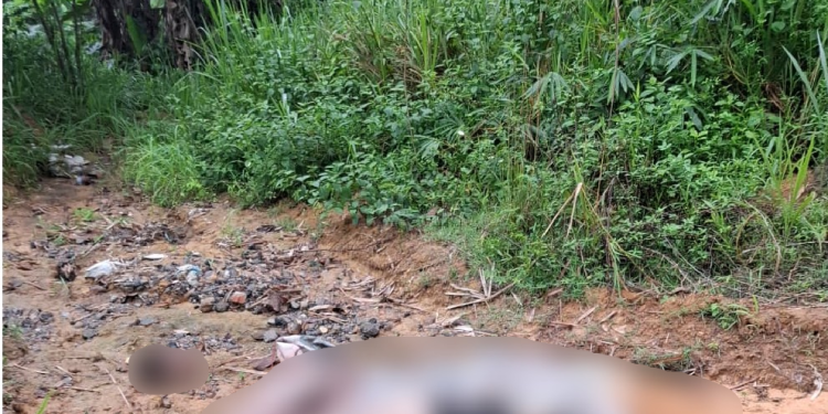 Cabeça de um lado, corpo do outro: jovem é dec@pitad0 e encontrado em área isolada no Tarumã; veja