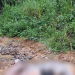 Cabeça de um lado, corpo do outro: jovem é dec@pitad0 e encontrado em área isolada no Tarumã; veja