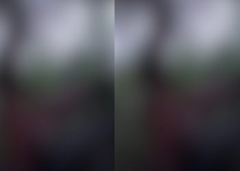 Vídeo: homens colocam cobras para fora e fazem vuc0-vuc0 na Ponta Negra em Manaus