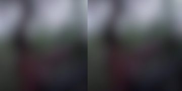 Vídeo: homens colocam cobras para fora e fazem vuc0-vuc0 na Ponta Negra em Manaus