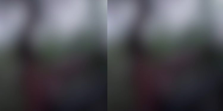 Vídeo: homens colocam cobras para fora e fazem vuc0-vuc0 na Ponta Negra em Manaus