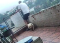Vídeo: Cão sai correndo animado e derruba o próprio tutor da laje