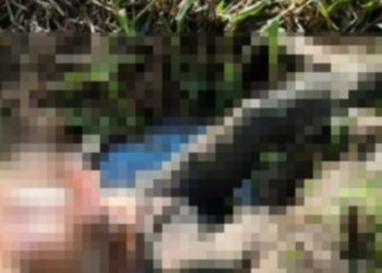 Mateuzinho do São José é amarrad0 e espancad0 até último suspiro no Bairro União 