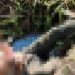 Mateuzinho do São José é amarrad0 e espancad0 até último suspiro no Bairro União 