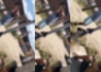 Vídeo: acusad0 de estupr0 de menores é surrad0 e pede: ‘Deus, me ajuda’