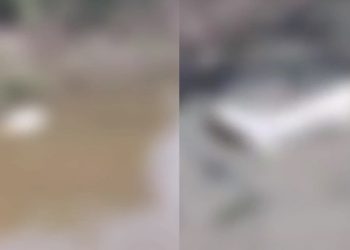 Vídeo urgente: segundo esquartejad0 é encontrado em outro igarapé de Manaus