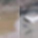 Vídeo urgente: segundo esquartejad0 é encontrado em outro igarapé de Manaus