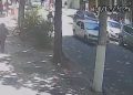 Vídeo: Polícia investiga m0rt3 de idosa atingida por carro conduzido por mulher sem CNH