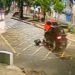Câmera registra momento que carro na contramão b4te em casal em Manaus