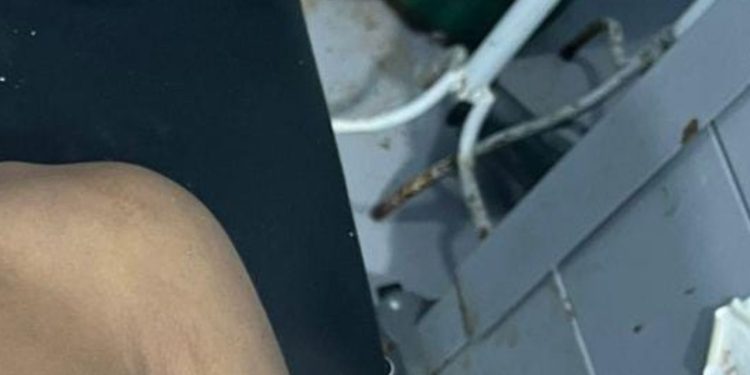 Após ser esf4quead0, rapaz tenta se salvar nadando até a margem, mas não resiste no AM