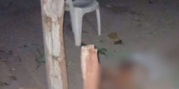 Paraense fica inconsciente ao cair de árvore ao tentar furt4r abacates