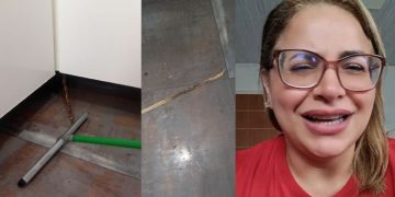 Achando ser cobra, moradora aciona bombeiros após confundir pedaço de madeira em Manaus