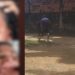 Vídeo: Mulher denuncia agr3ssõ3s, ame4ça e vi0lência contínua do ex mesmo após ordem judicial em Manaus
