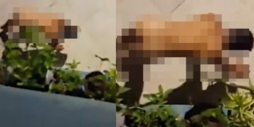 Vídeo: homem é filmado de quatr0 e pelad0 imitando cachorro na rua