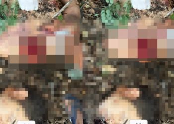 Imagem muito forte mostra homem deg0lad0 na mata no interior do Amazonas